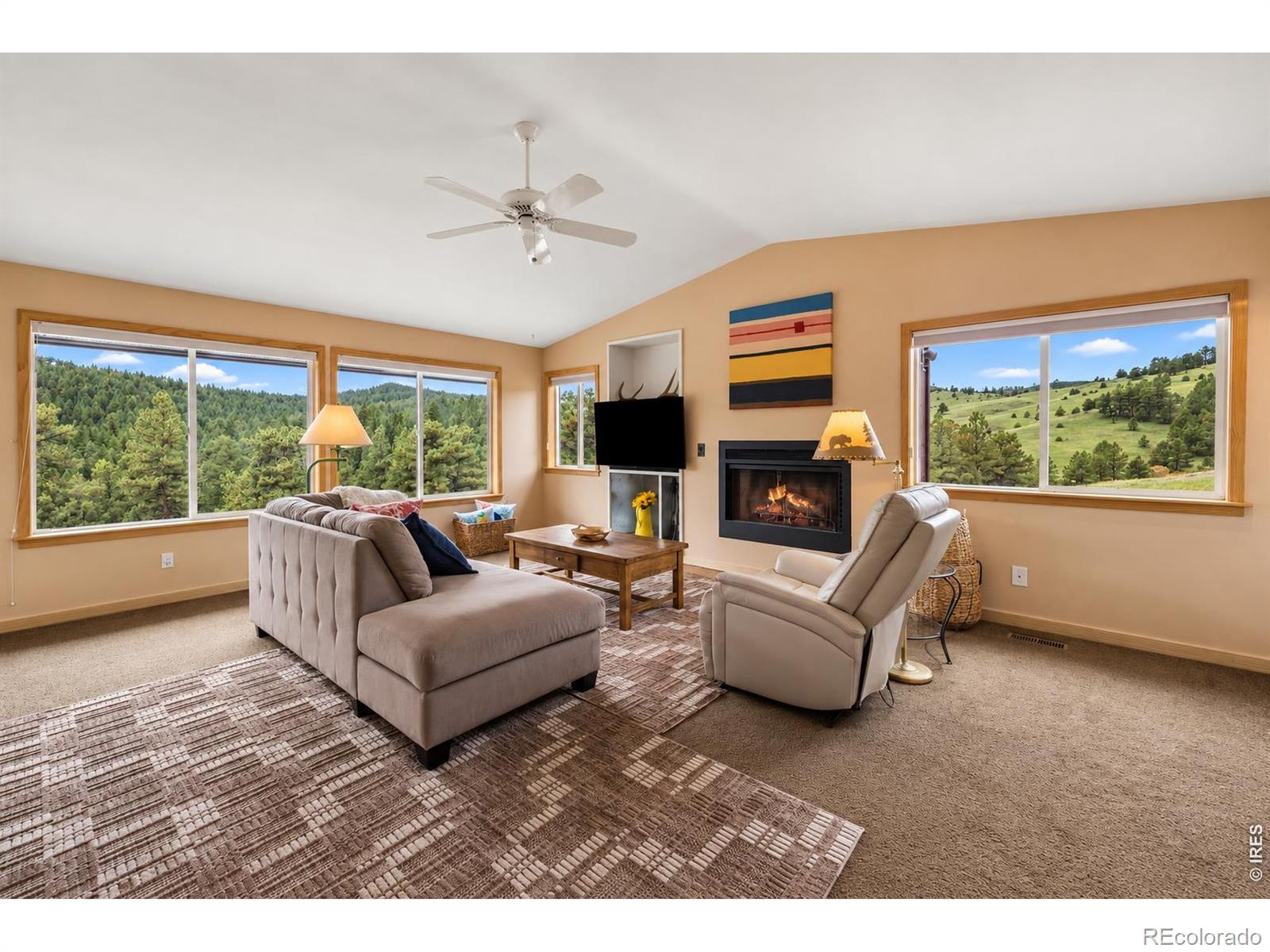 MLS Image #3 for 936  pika road,boulder, Colorado