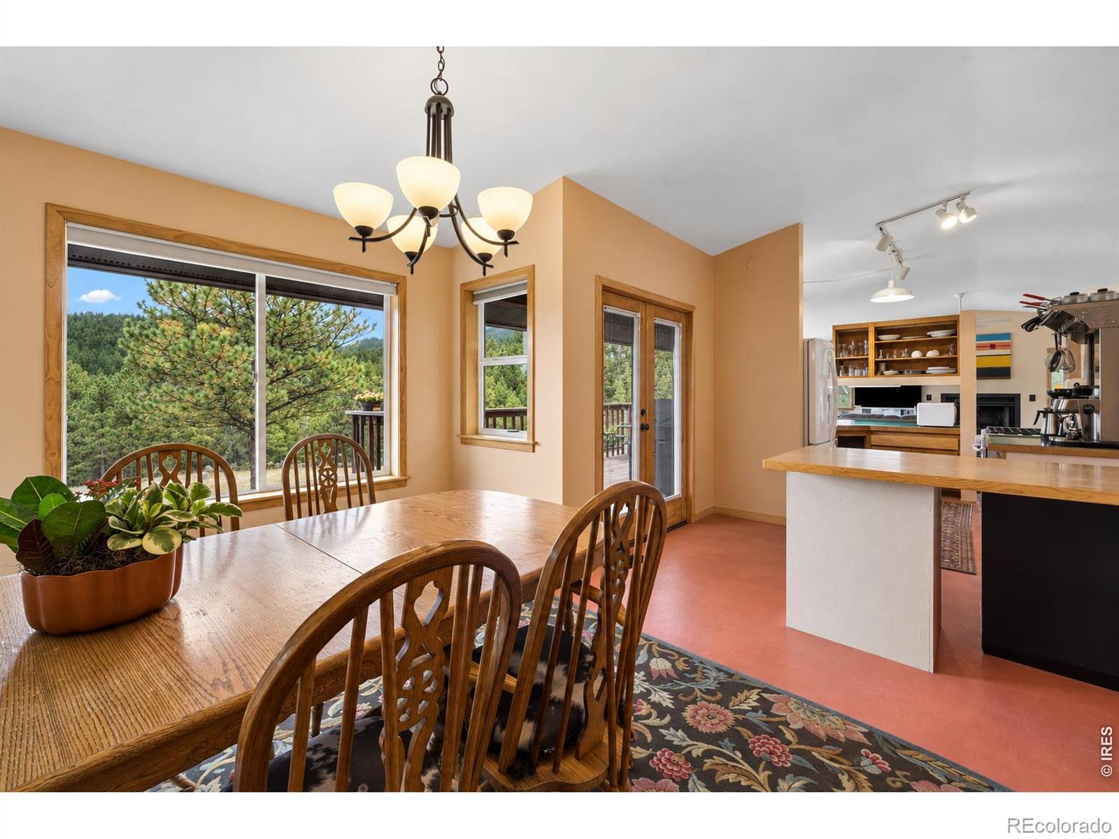 MLS Image #6 for 936  pika road,boulder, Colorado