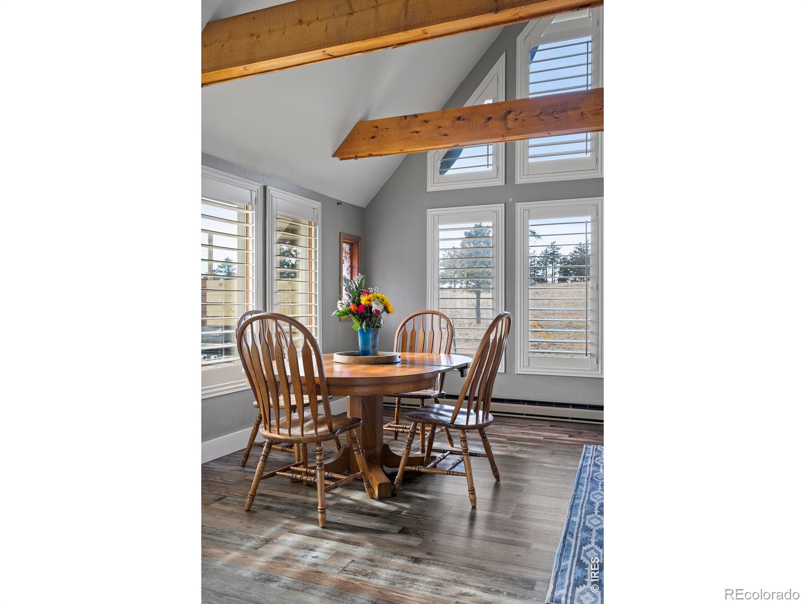 MLS Image #22 for 100 s cucharas mountain court,livermore, Colorado
