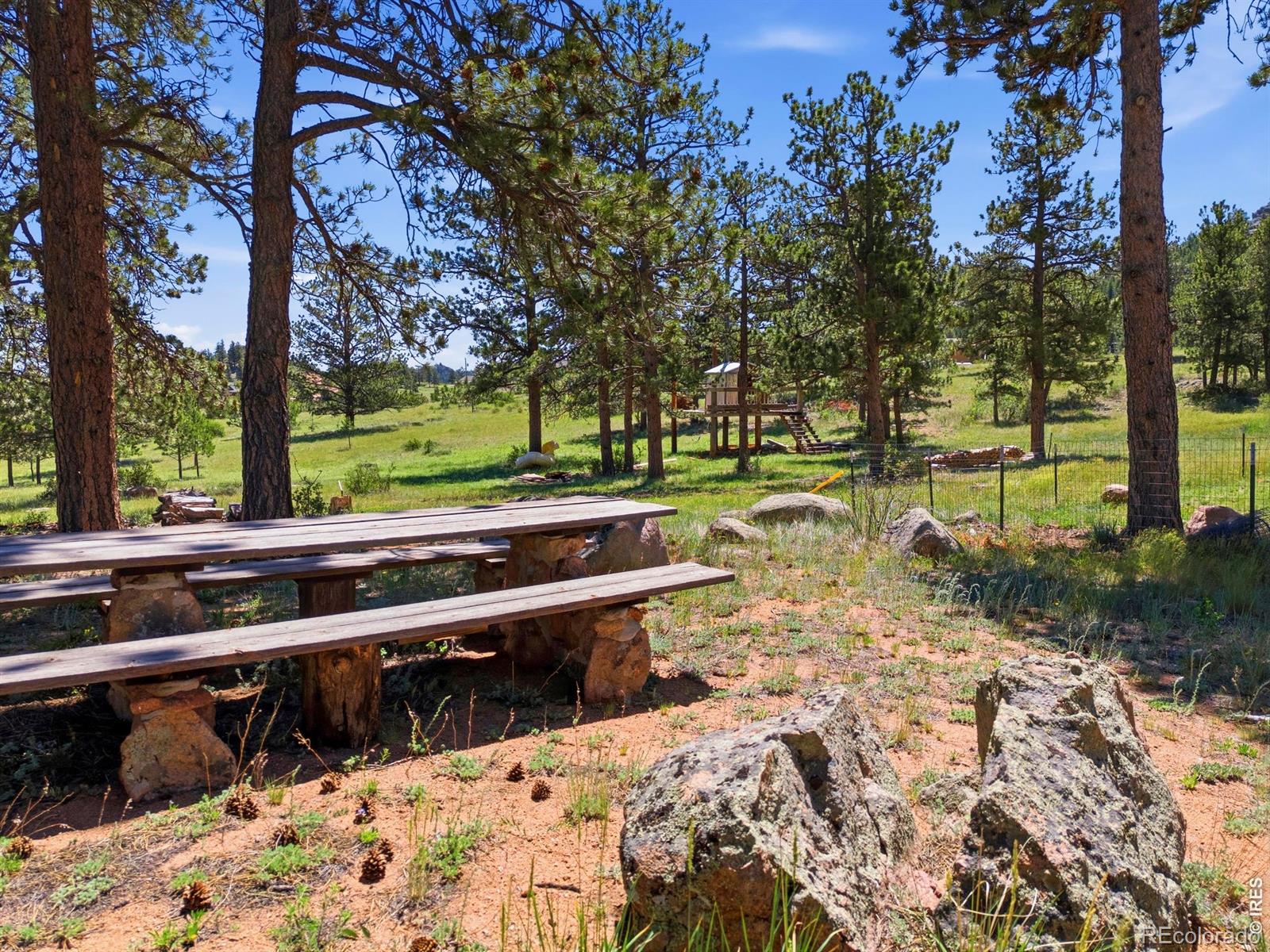 MLS Image #43 for 100 s cucharas mountain court,livermore, Colorado