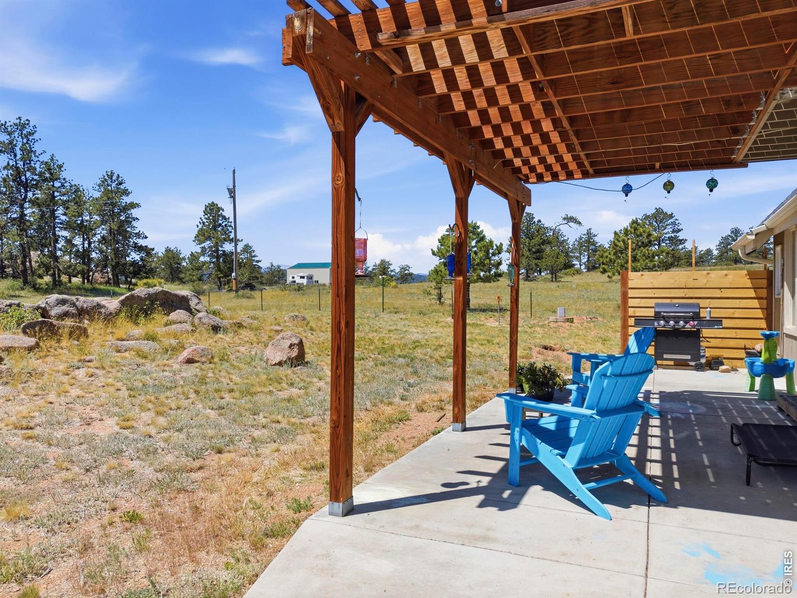 MLS Image #46 for 100 s cucharas mountain court,livermore, Colorado