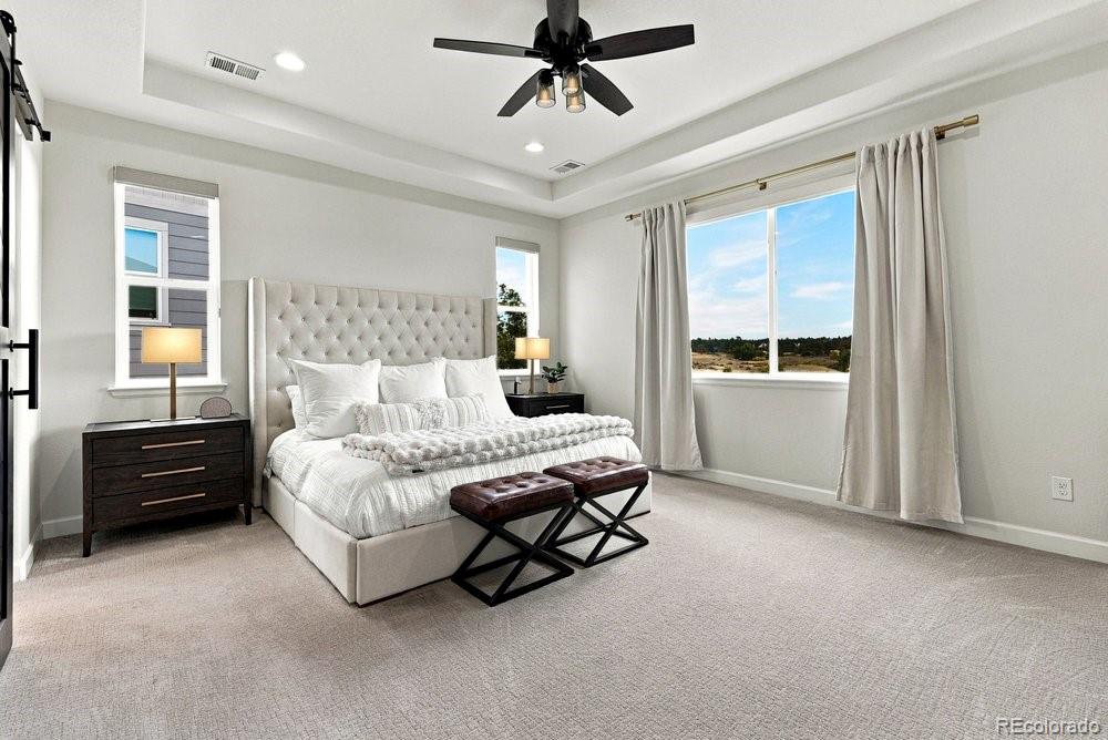 MLS Image #21 for 12980  reata ridge drive,parker, Colorado