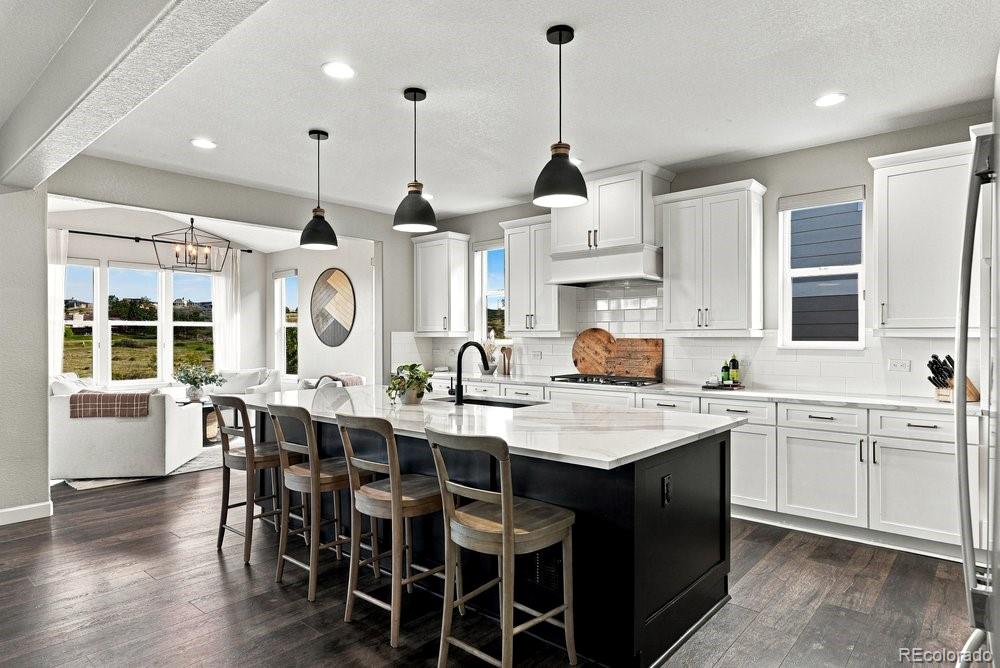 MLS Image #7 for 12980  reata ridge drive,parker, Colorado