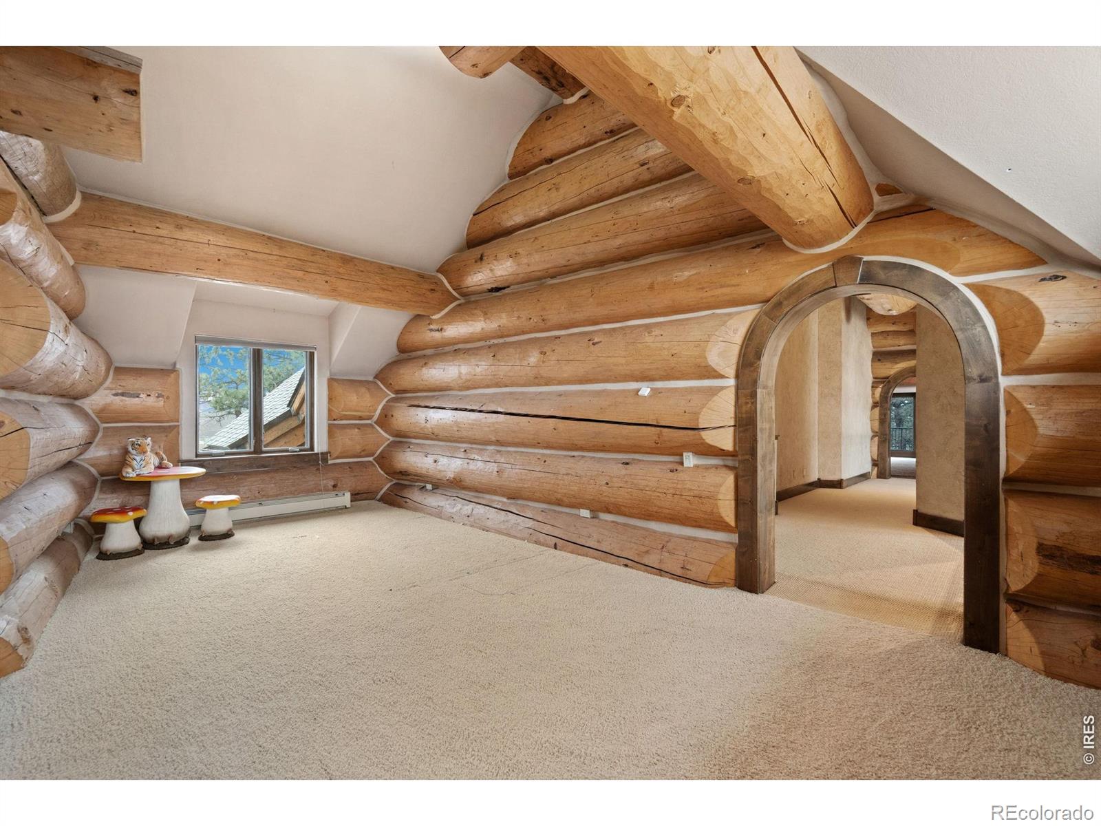 MLS Image #29 for 2915  sedona hills drive,loveland, Colorado