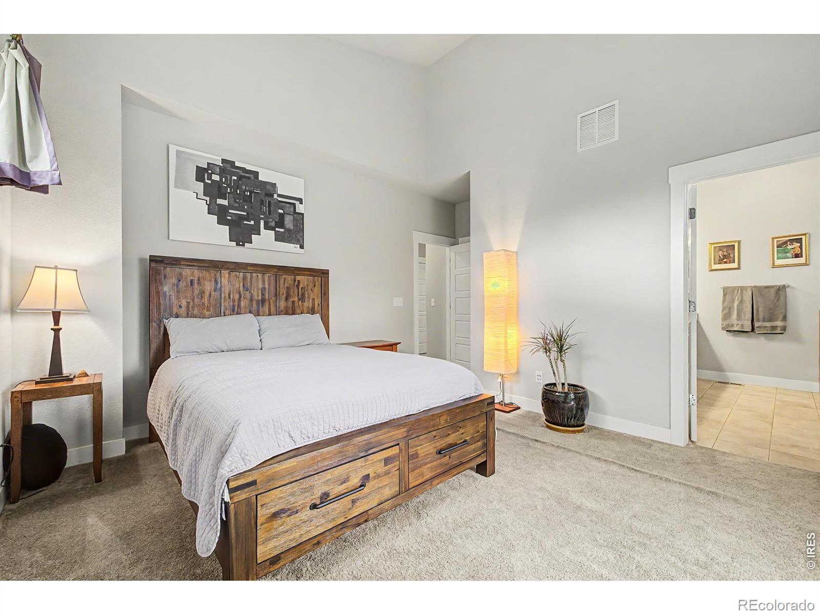 MLS Image #12 for 5229  beeler street,denver, Colorado