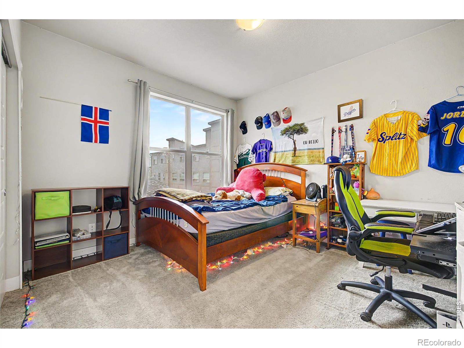 MLS Image #18 for 5229  beeler street,denver, Colorado
