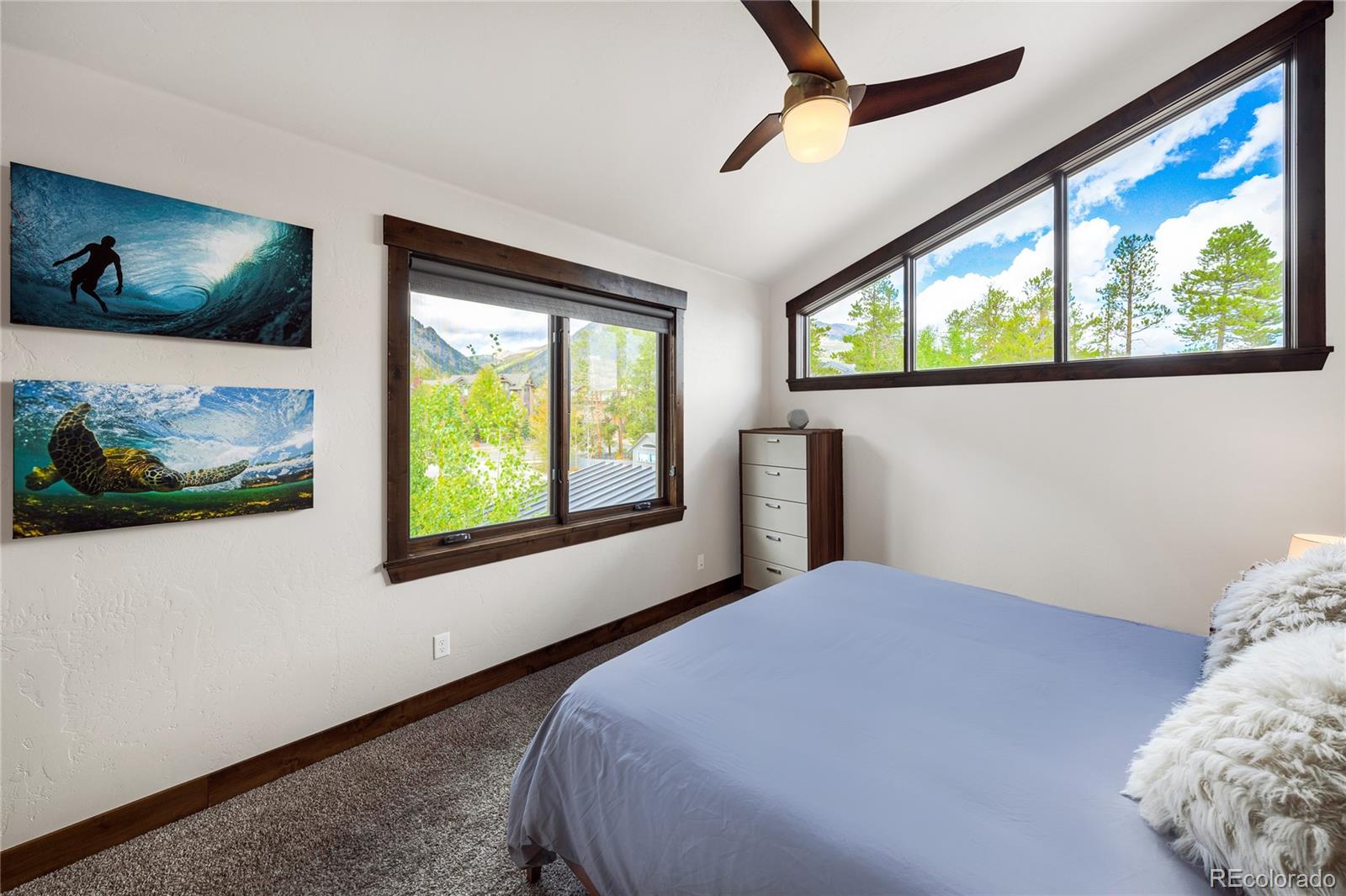 MLS Image #34 for 213  frisco street,frisco, Colorado