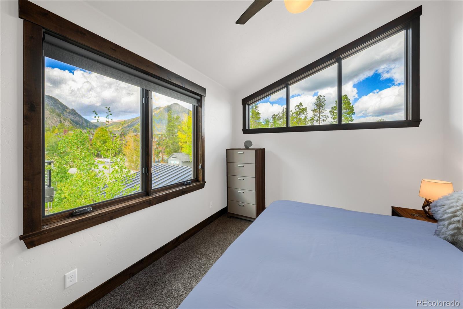 MLS Image #35 for 213  frisco street,frisco, Colorado
