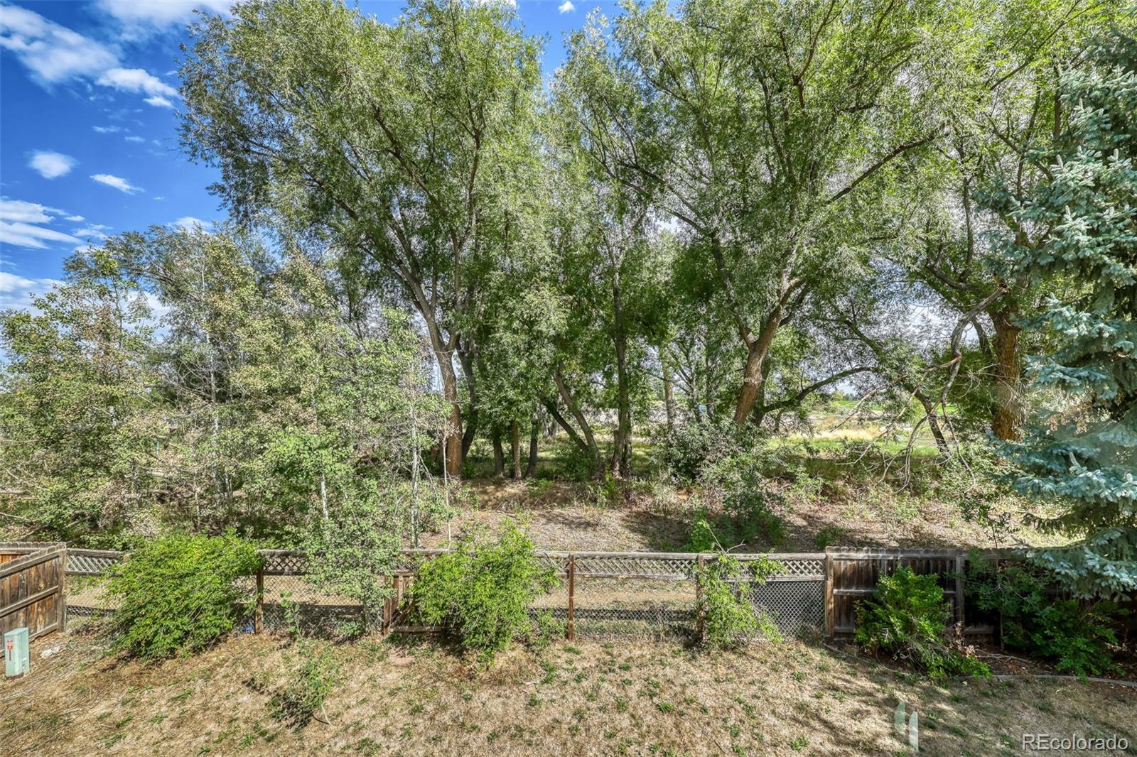MLS Image #11 for 10964  alcott drive,westminster, Colorado