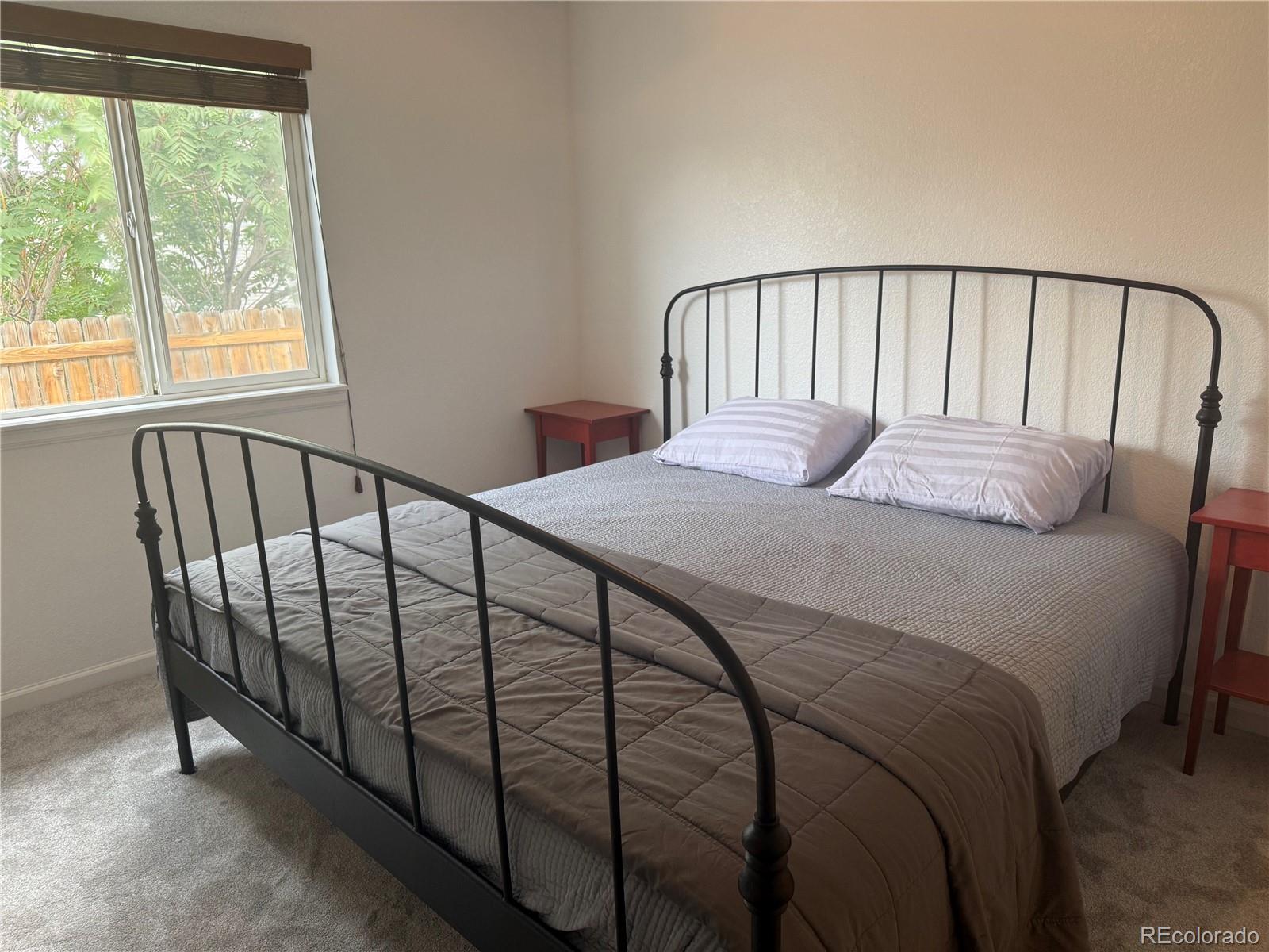 MLS Image #11 for 246 s irving street,denver, Colorado