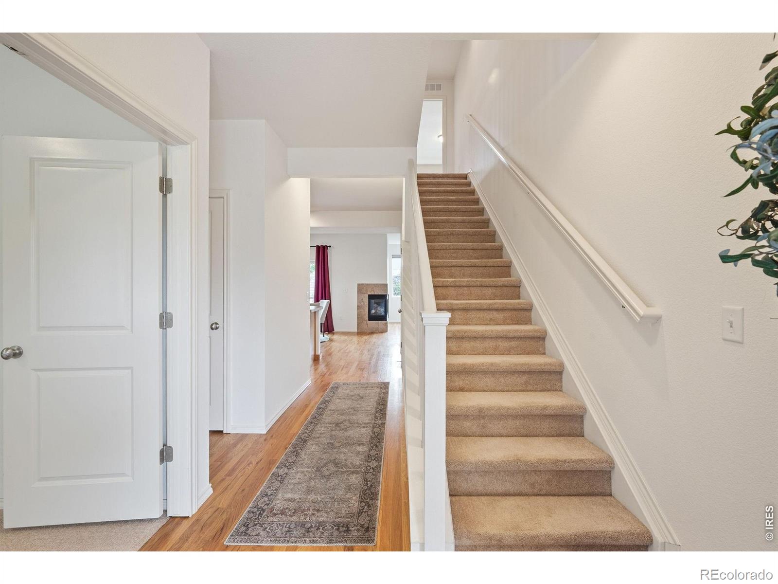MLS Image #15 for 515  walhalla court,fort collins, Colorado