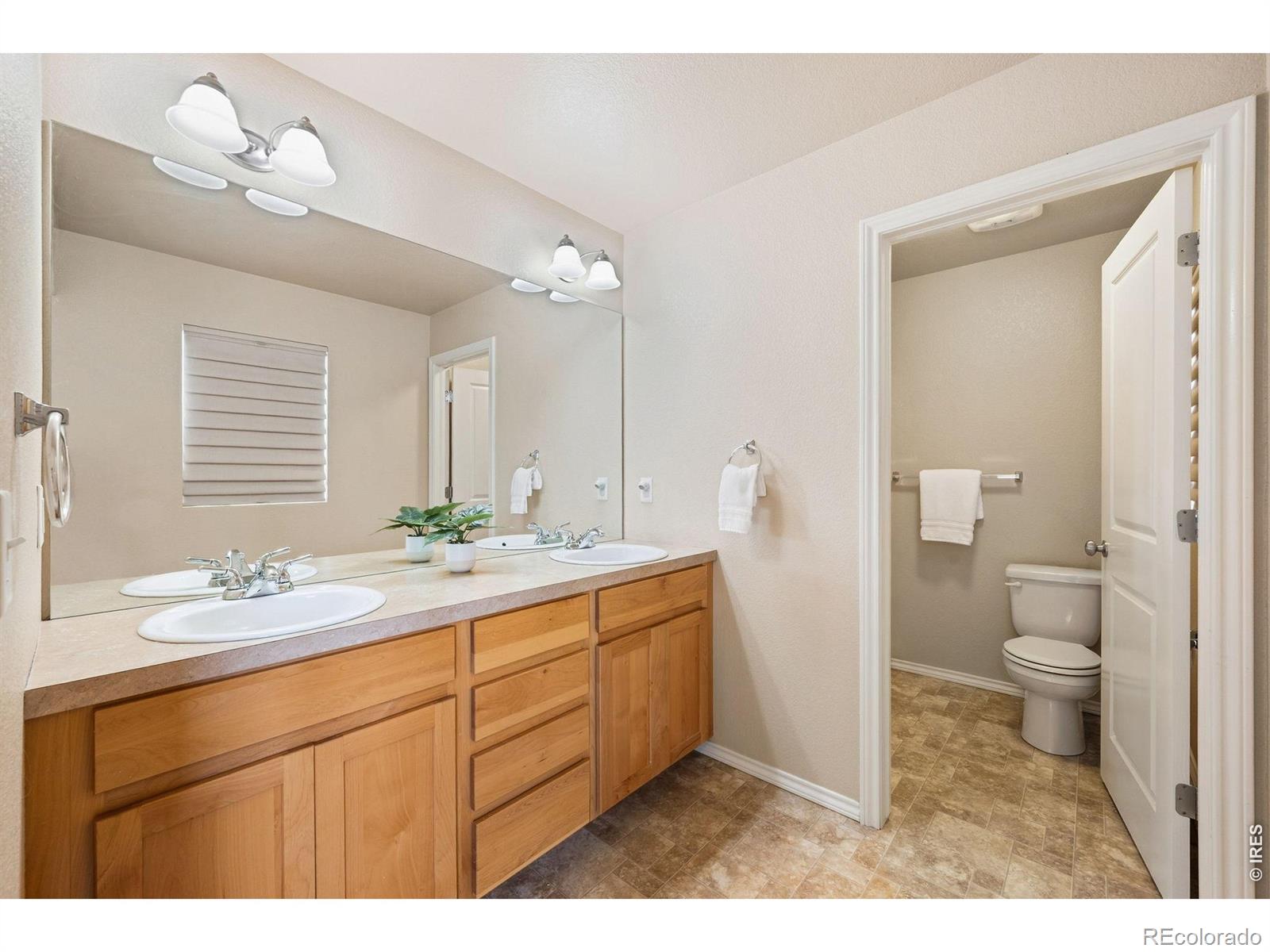 MLS Image #20 for 515  walhalla court,fort collins, Colorado