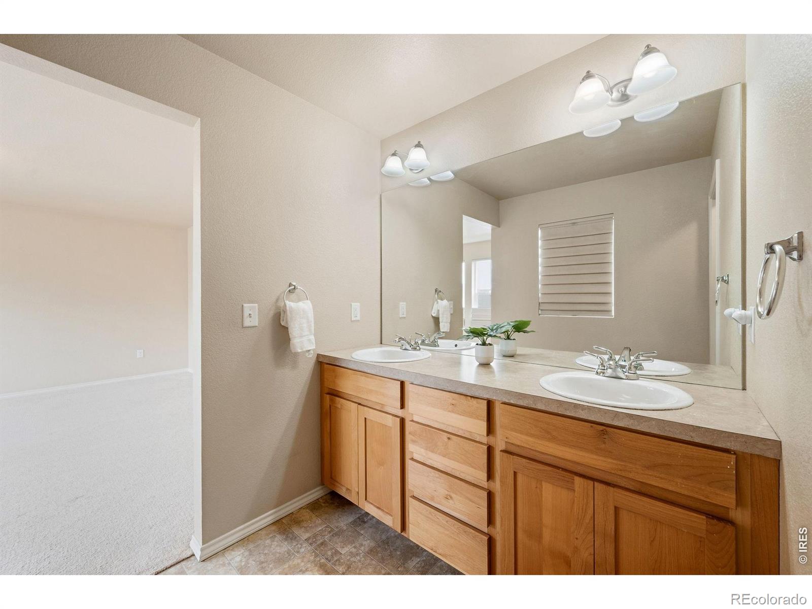 MLS Image #21 for 515  walhalla court,fort collins, Colorado