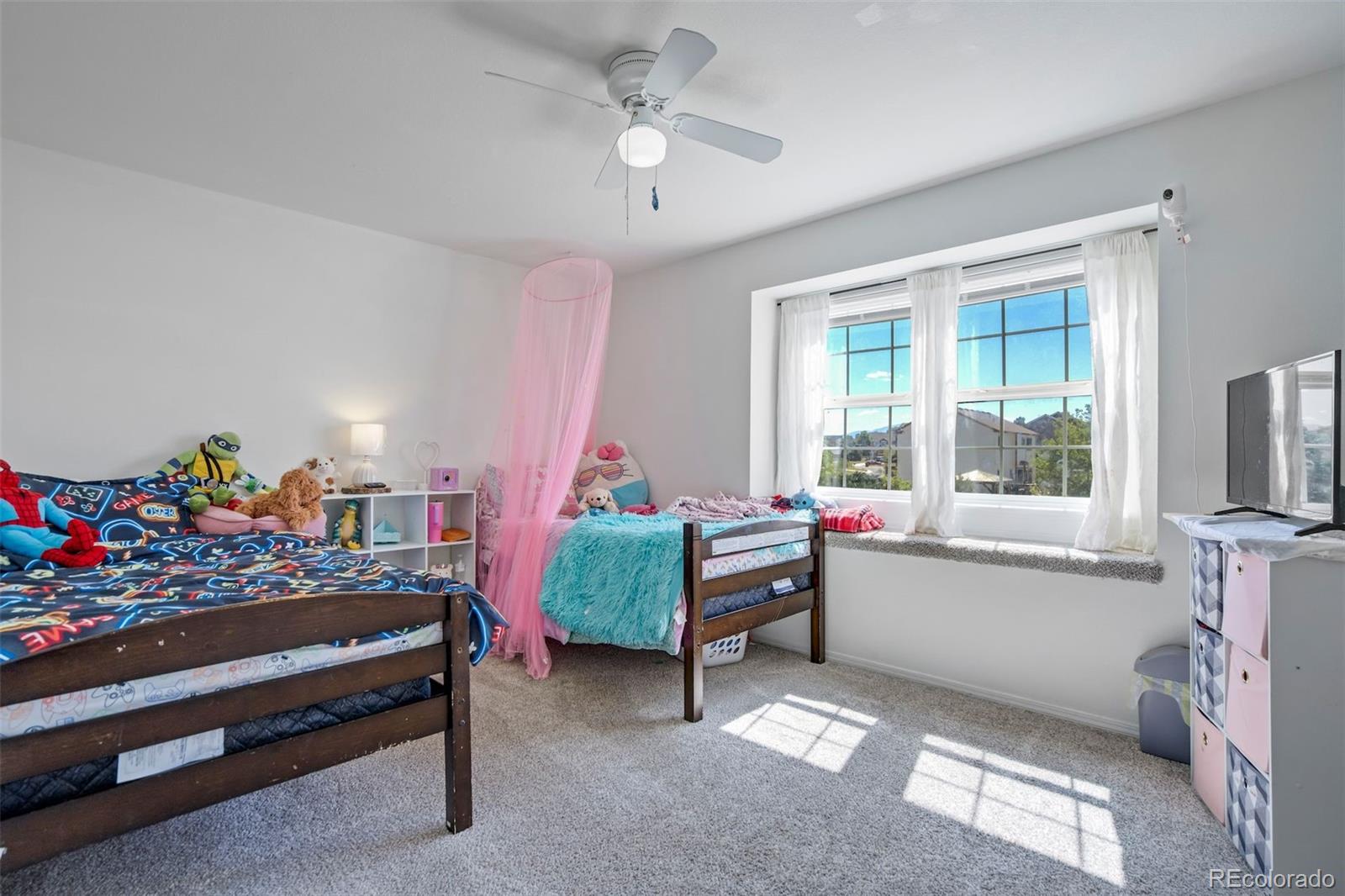MLS Image #32 for 10065  litchfield street,peyton, Colorado