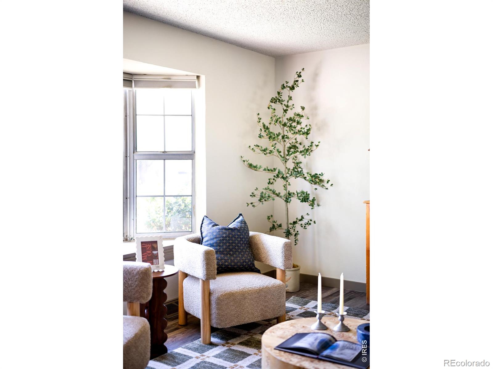 MLS Image #6 for 6517 w arbor drive,littleton, Colorado