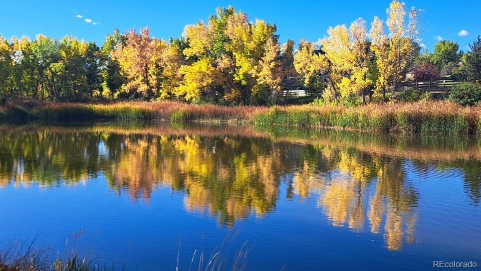 MLS Image #2 for 9815 w freiburg drive,littleton, Colorado