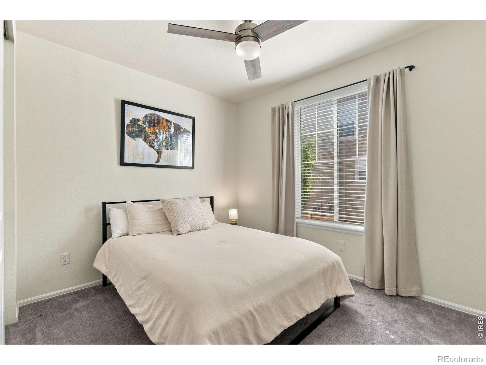 MLS Image #6 for 2809  barnstormer street,fort collins, Colorado