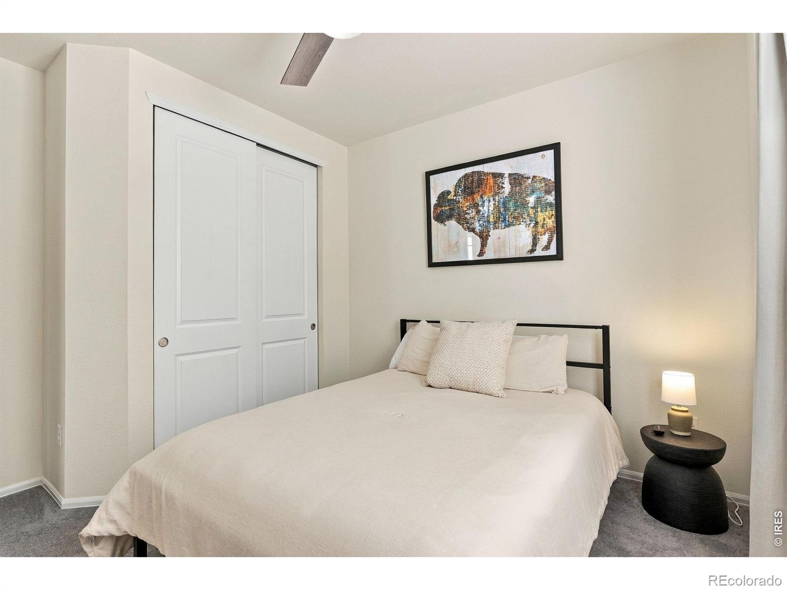 MLS Image #7 for 2809  barnstormer street,fort collins, Colorado