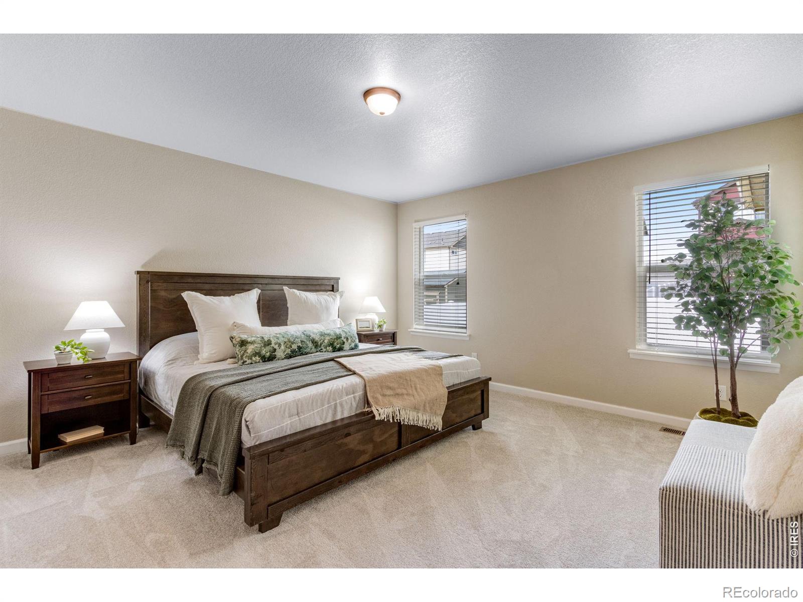 MLS Image #18 for 405  audubon boulevard,severance, Colorado