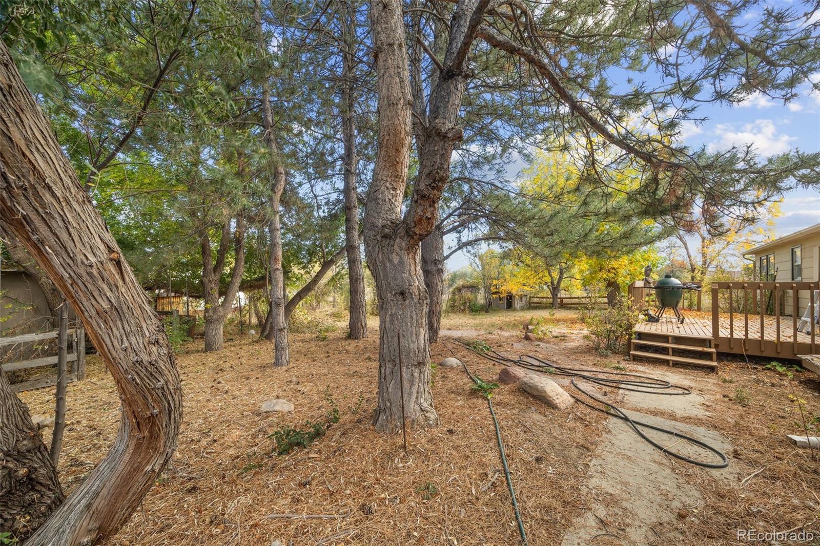 MLS Image #32 for 10272  macedonia street,longmont, Colorado