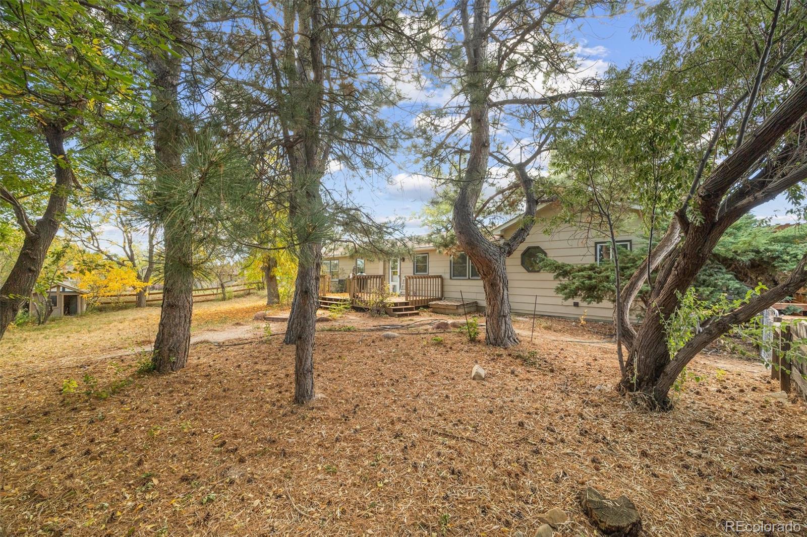 MLS Image #33 for 10272  macedonia street,longmont, Colorado