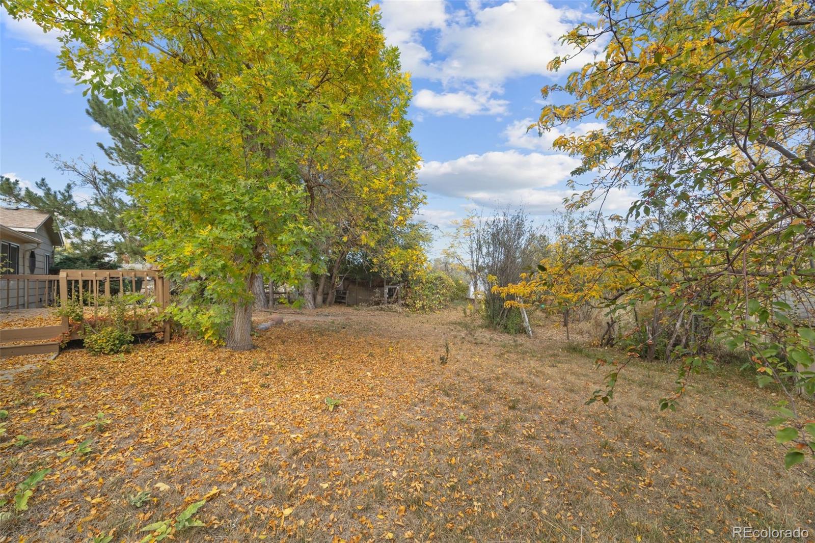 MLS Image #34 for 10272  macedonia street,longmont, Colorado
