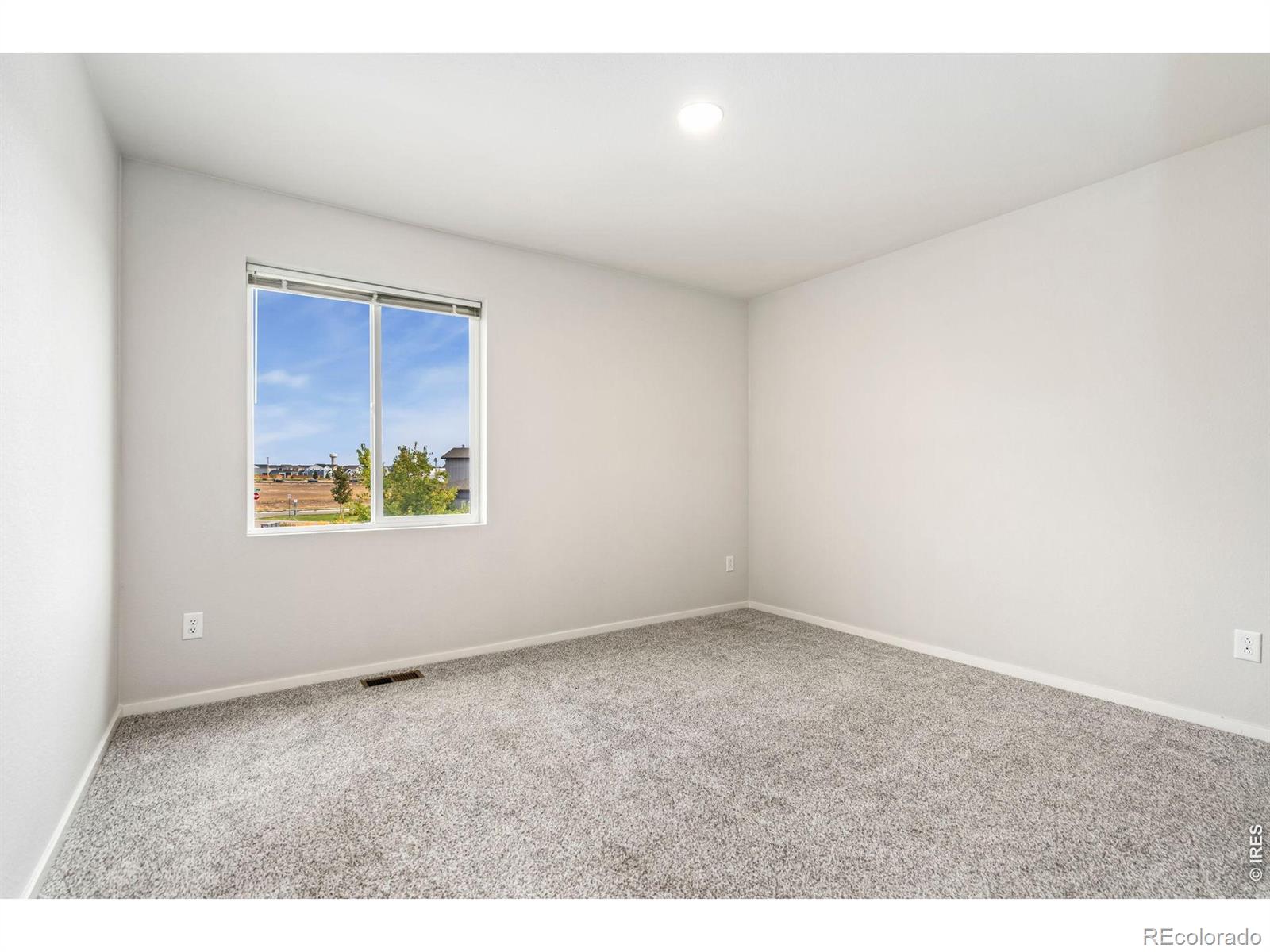 MLS Image #20 for 5718  stone fly drive,timnath, Colorado