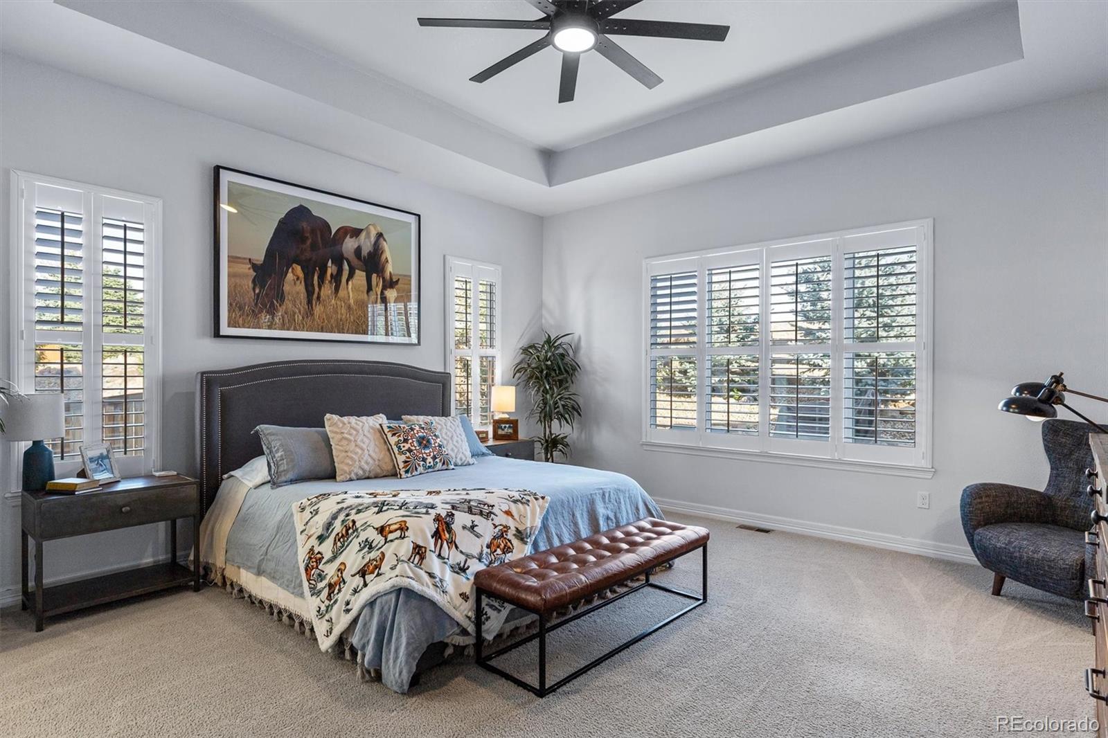 MLS Image #13 for 3871  spanish oaks trail,castle rock, Colorado
