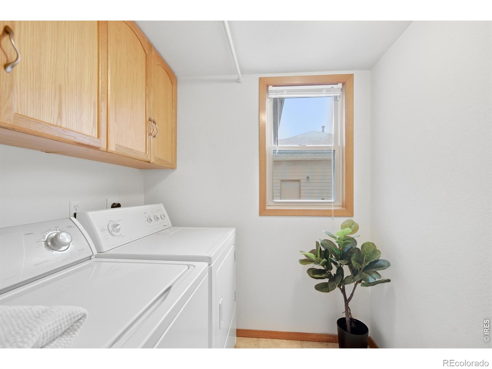 MLS Image #16 for 2488  anemonie court,loveland, Colorado