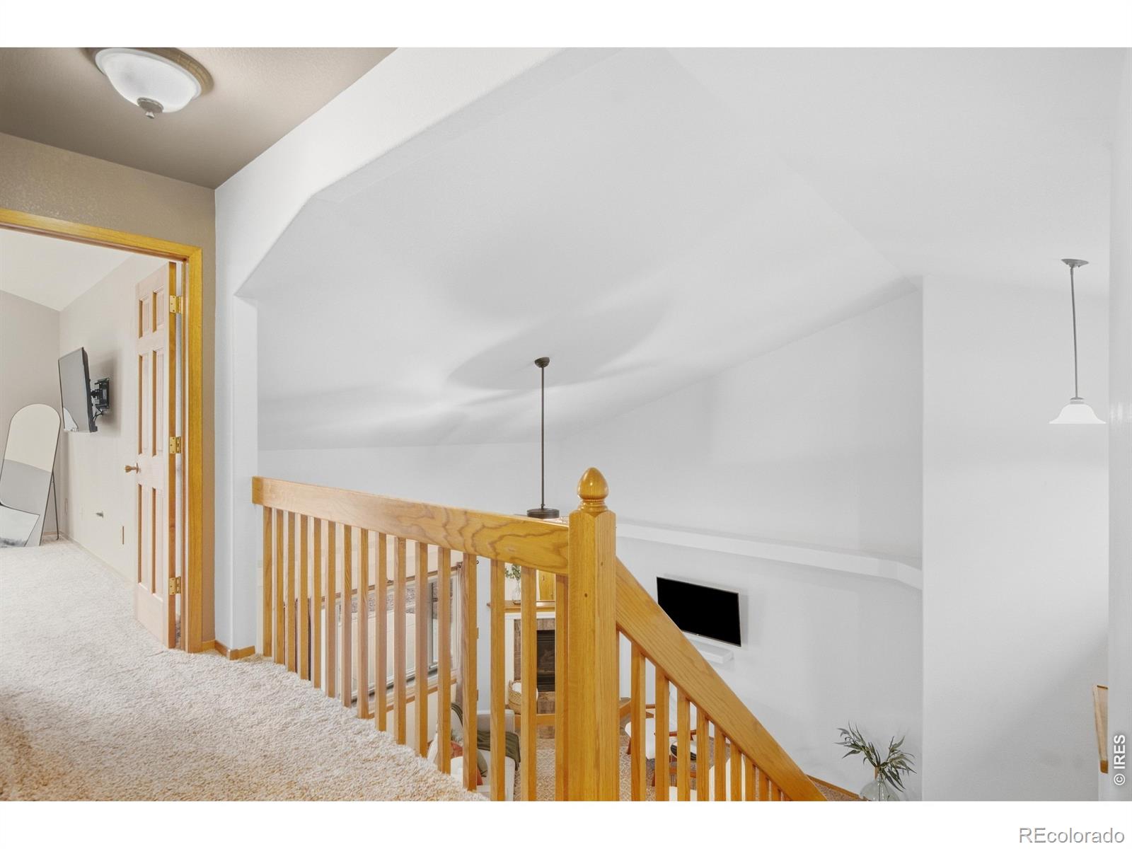 MLS Image #18 for 2488  anemonie court,loveland, Colorado