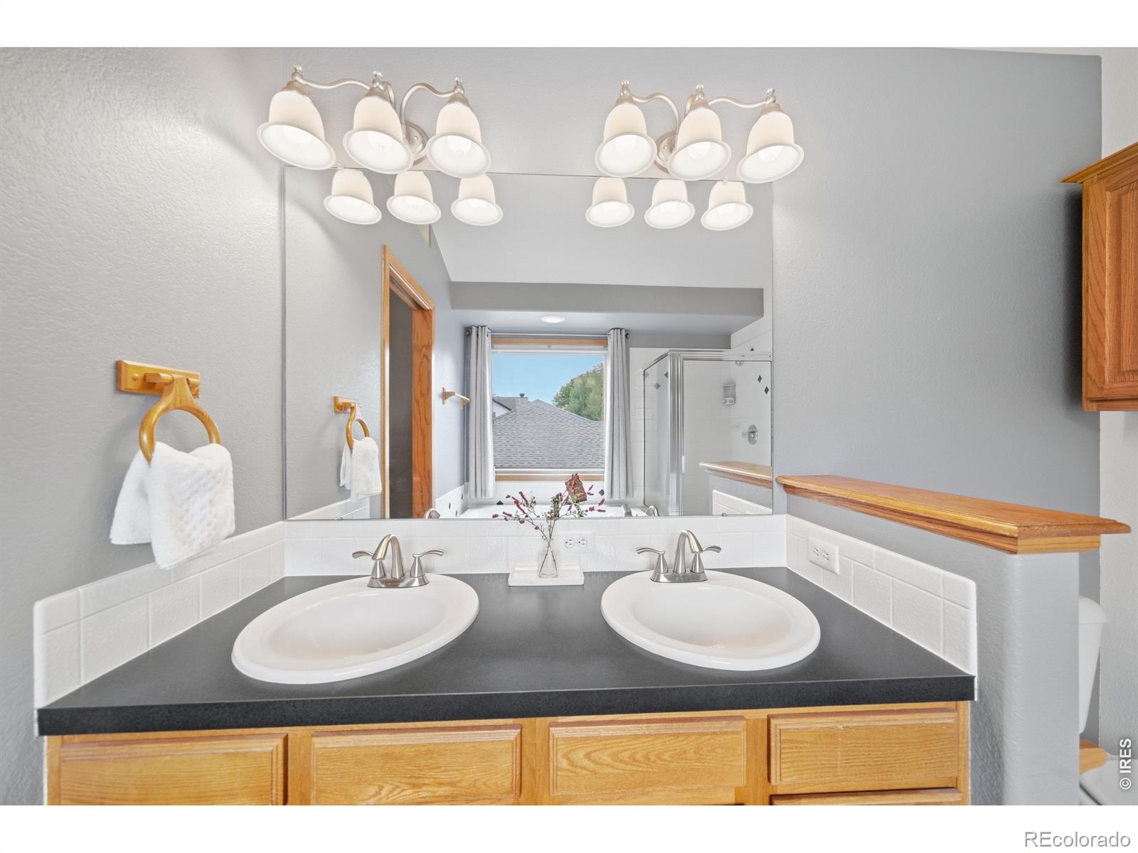 MLS Image #22 for 2488  anemonie court,loveland, Colorado