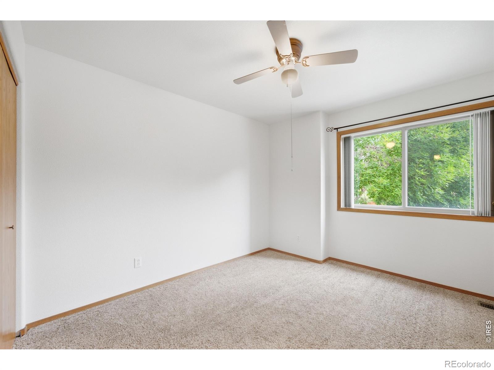 MLS Image #24 for 2488  anemonie court,loveland, Colorado