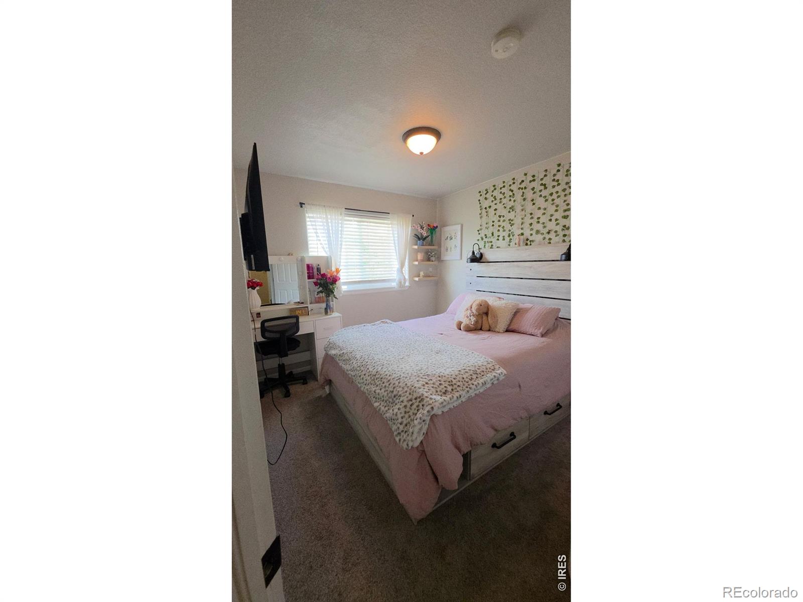 MLS Image #10 for 2138  blue duck drive,loveland, Colorado