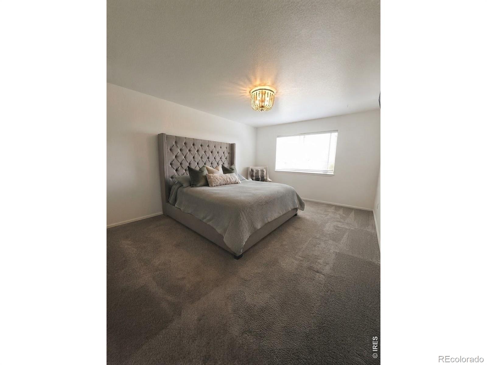 MLS Image #6 for 2138  blue duck drive,loveland, Colorado
