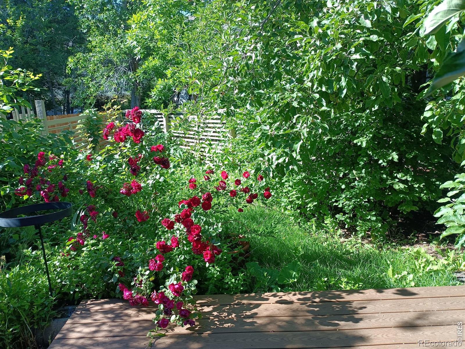 MLS Image #38 for 4009  wonderland hill avenue,boulder, Colorado