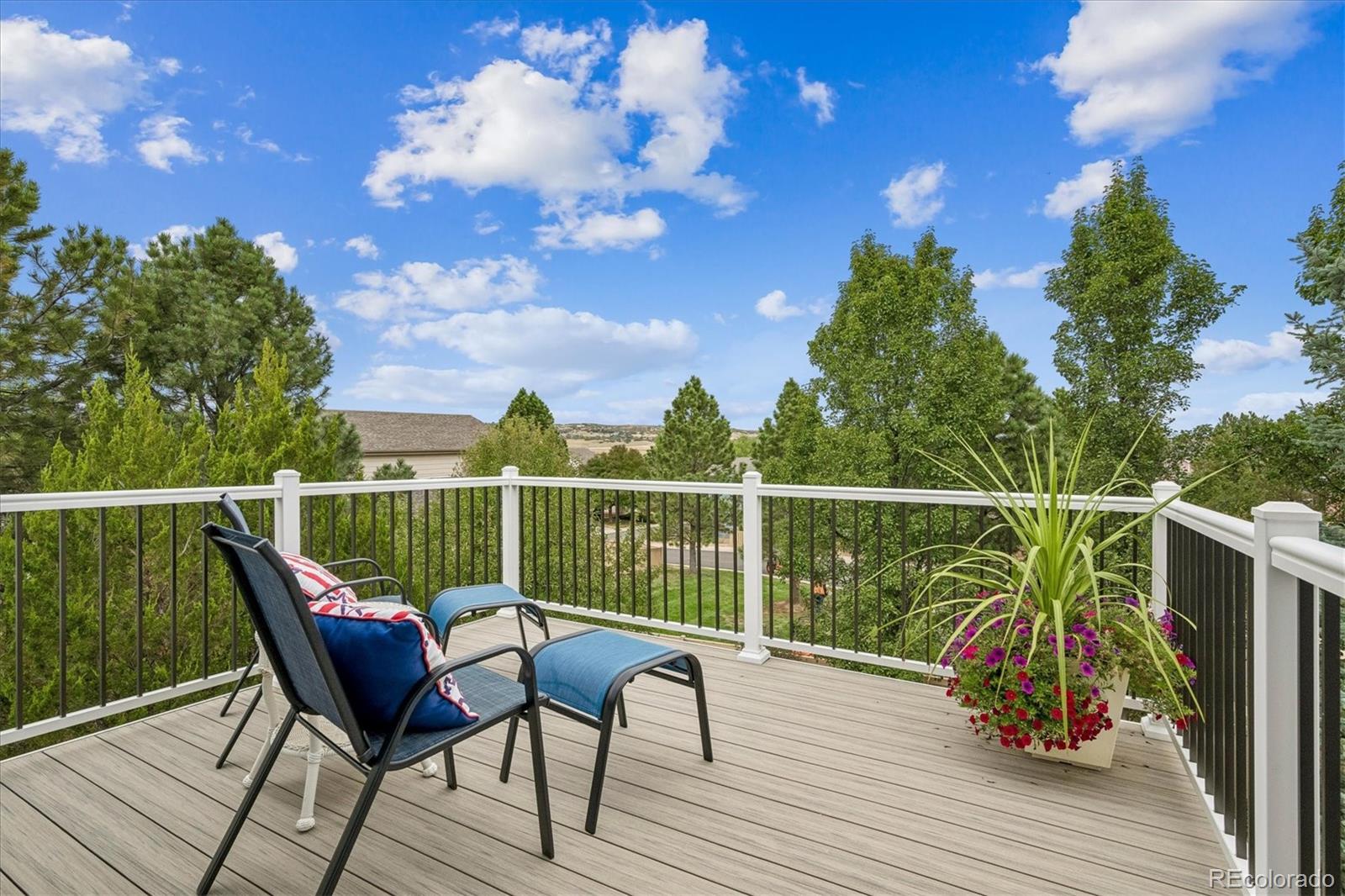 MLS Image #20 for 2903  masters court,castle rock, Colorado