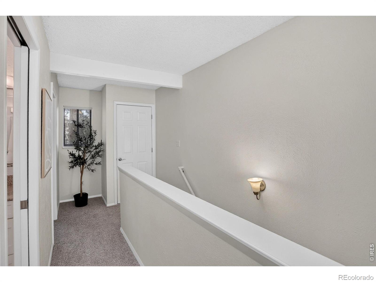 MLS Image #17 for 2996  shady hollow,boulder, Colorado