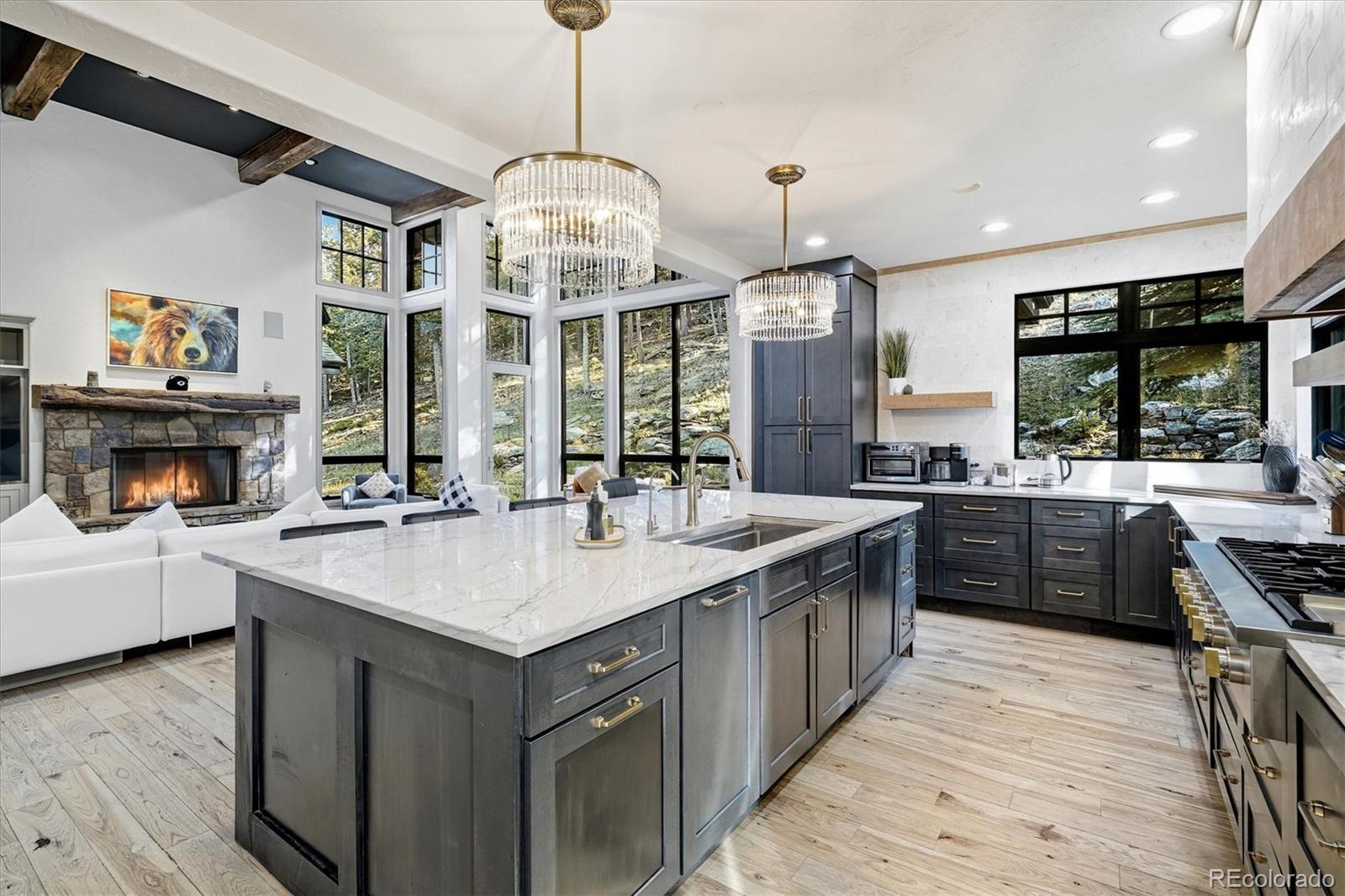 MLS Image #10 for 33442  meadow mountain road,evergreen, Colorado