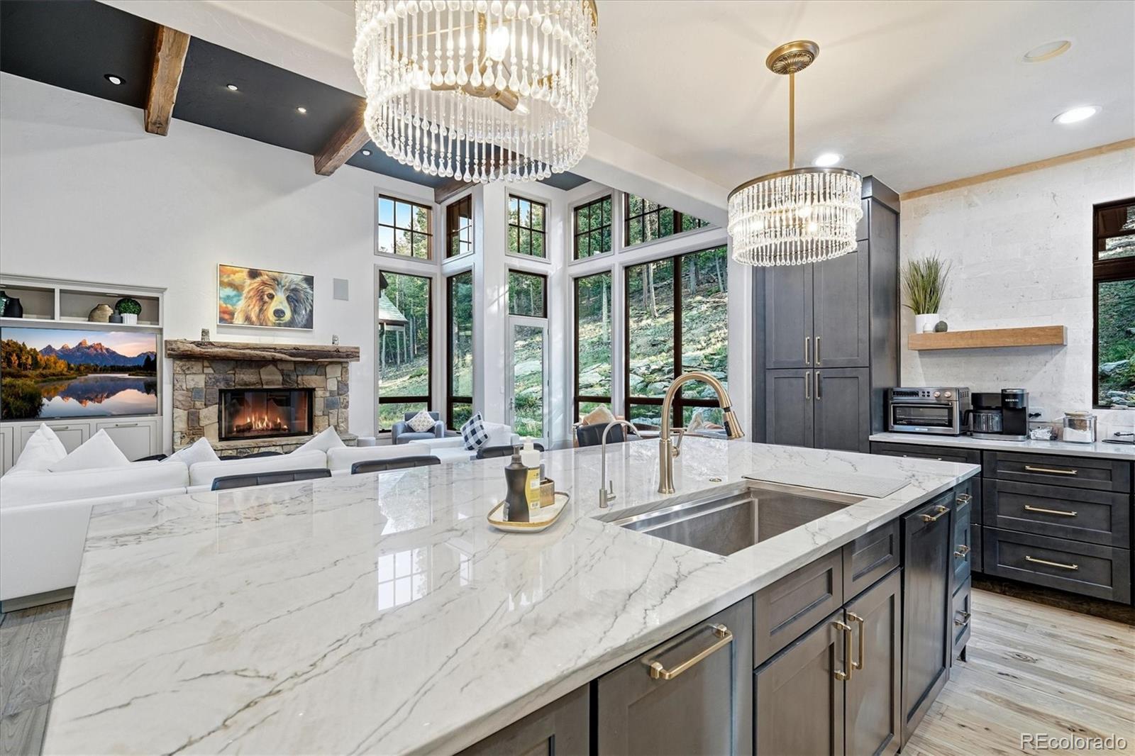 MLS Image #11 for 33442  meadow mountain road,evergreen, Colorado