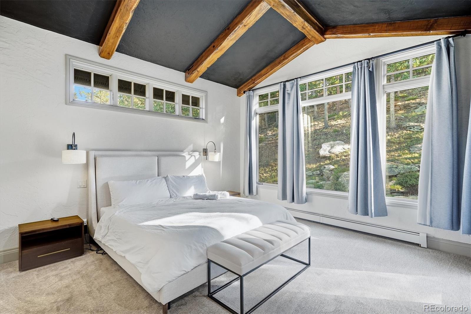 MLS Image #17 for 33442  meadow mountain road,evergreen, Colorado