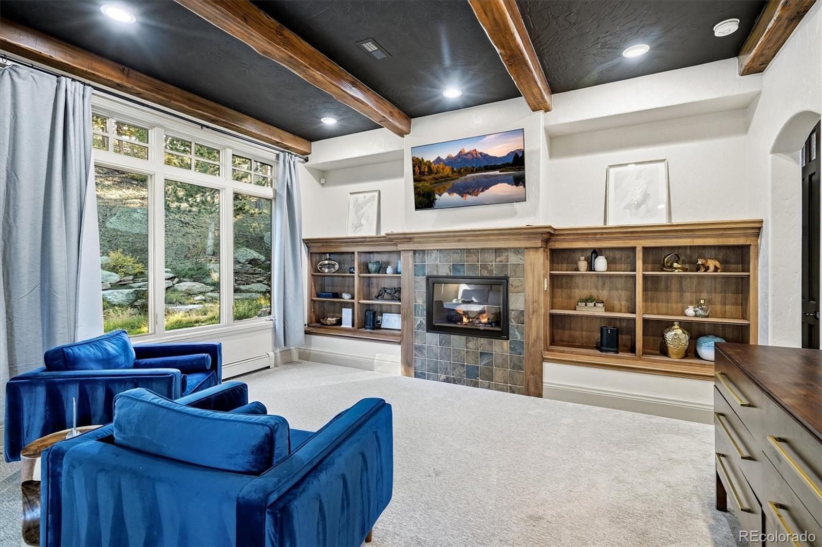 MLS Image #19 for 33442  meadow mountain road,evergreen, Colorado