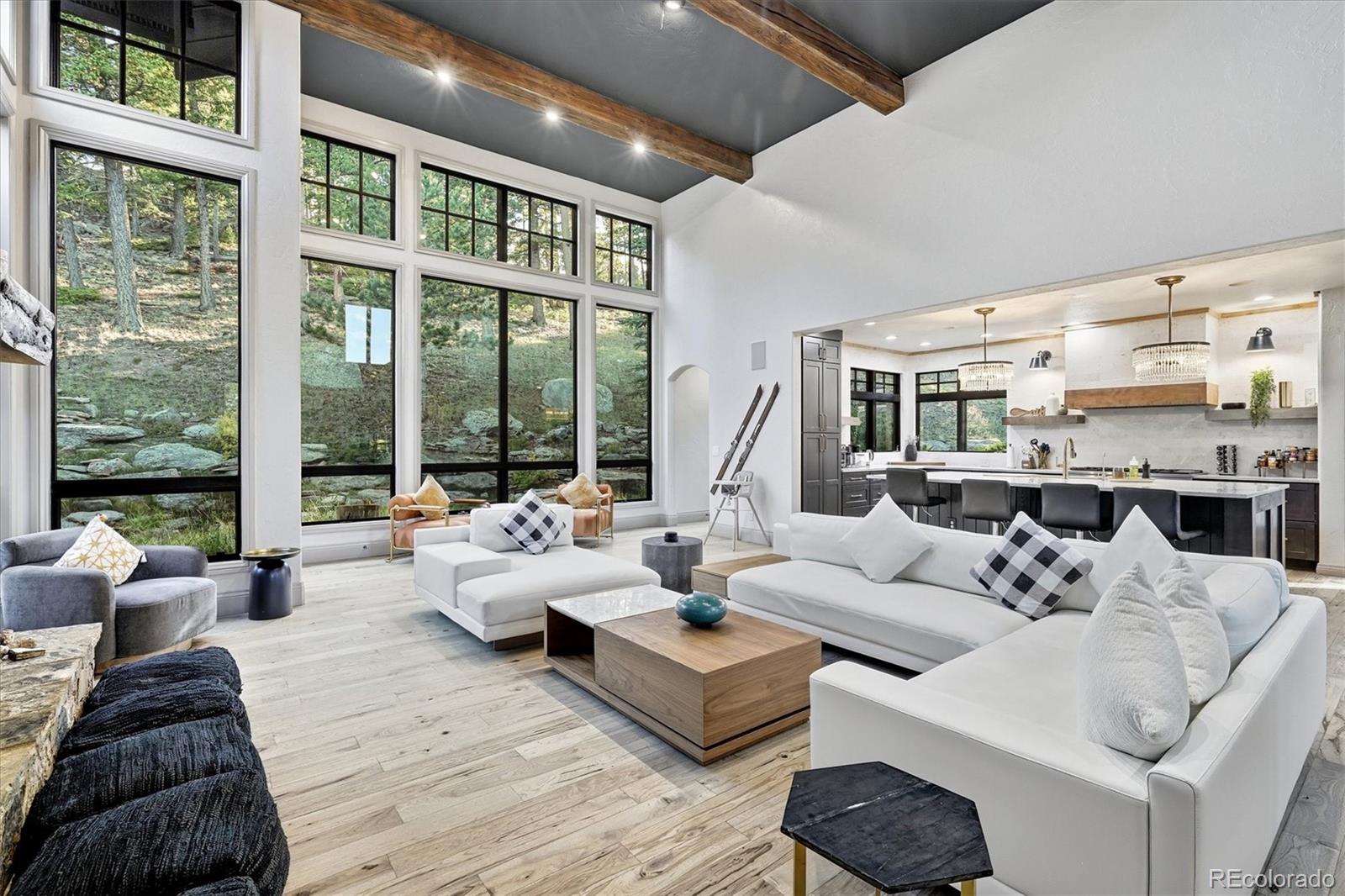 MLS Image #2 for 33442  meadow mountain road,evergreen, Colorado