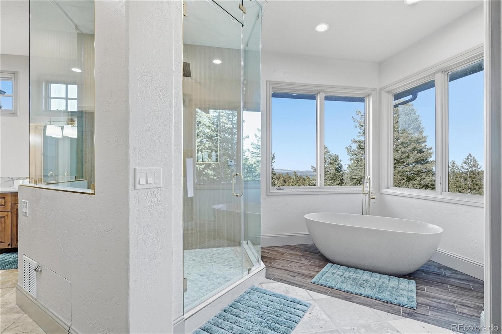 MLS Image #21 for 33442  meadow mountain road,evergreen, Colorado
