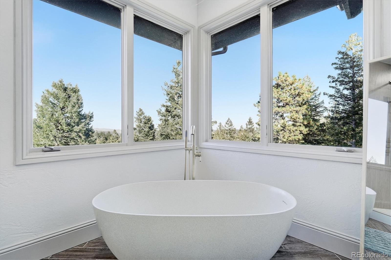 MLS Image #22 for 33442  meadow mountain road,evergreen, Colorado