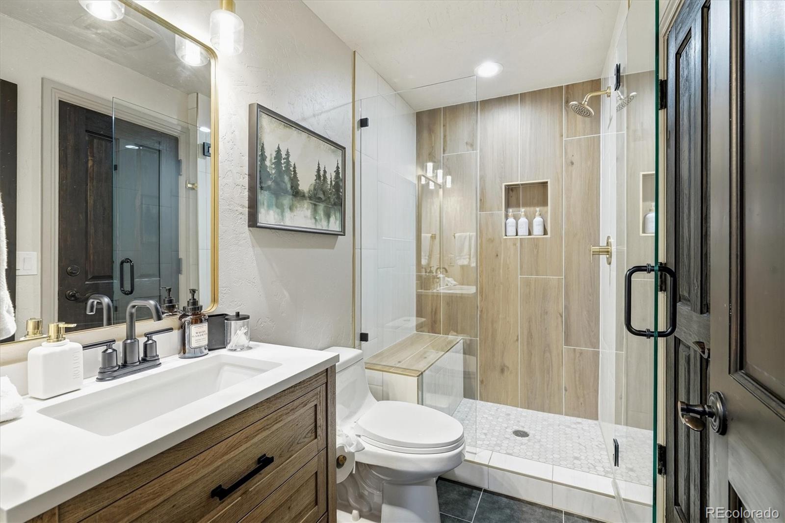 MLS Image #27 for 33442  meadow mountain road,evergreen, Colorado