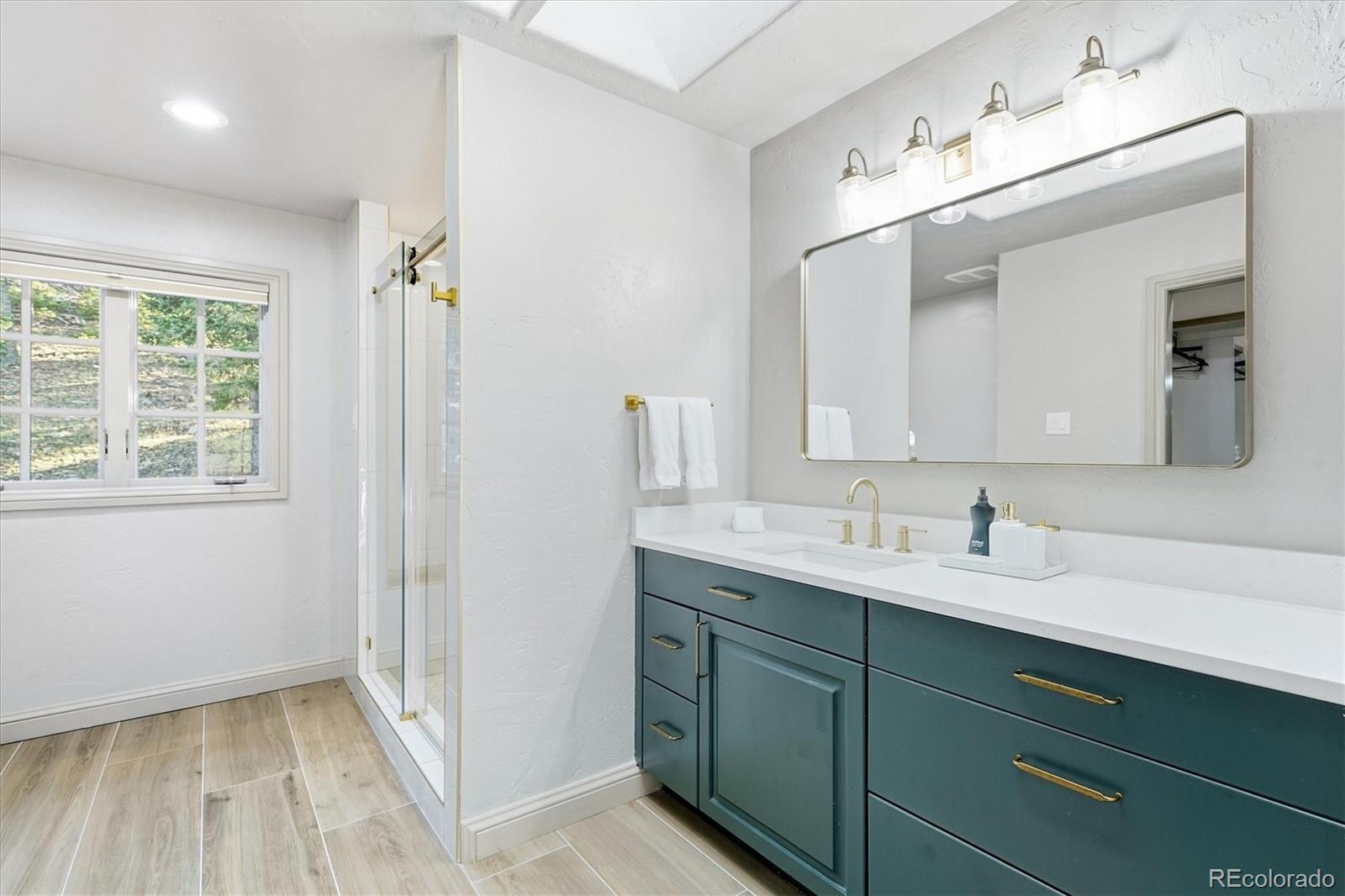MLS Image #29 for 33442  meadow mountain road,evergreen, Colorado