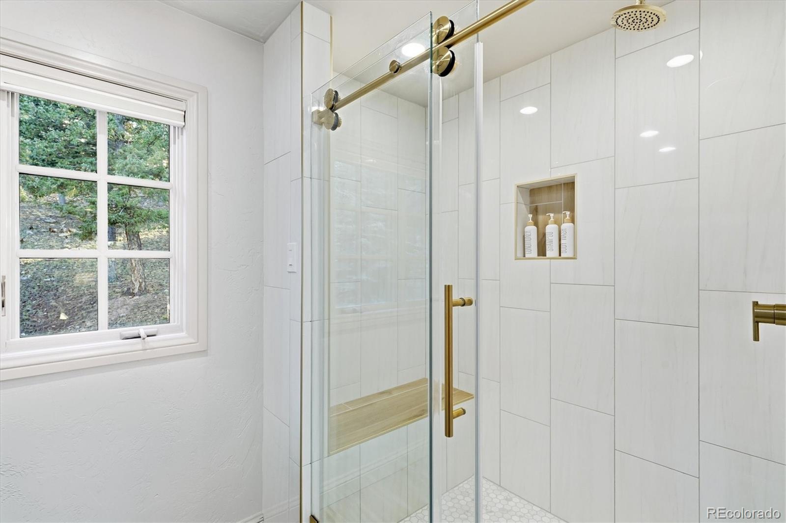 MLS Image #31 for 33442  meadow mountain road,evergreen, Colorado