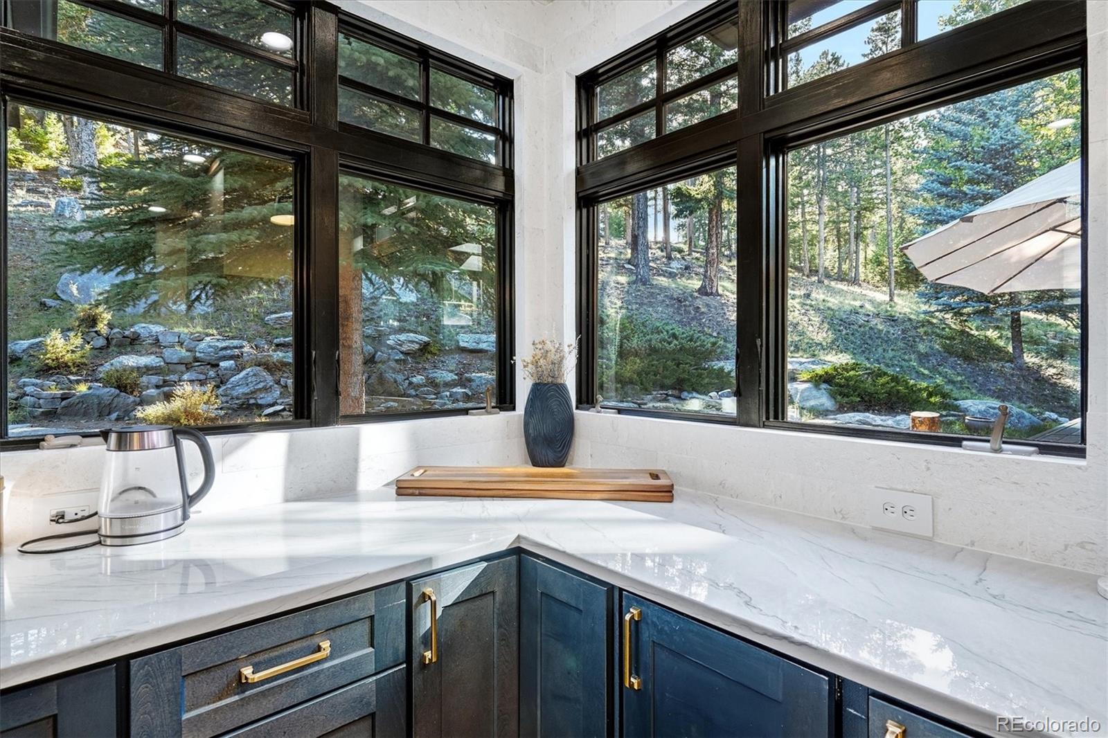 MLS Image #7 for 33442  meadow mountain road,evergreen, Colorado