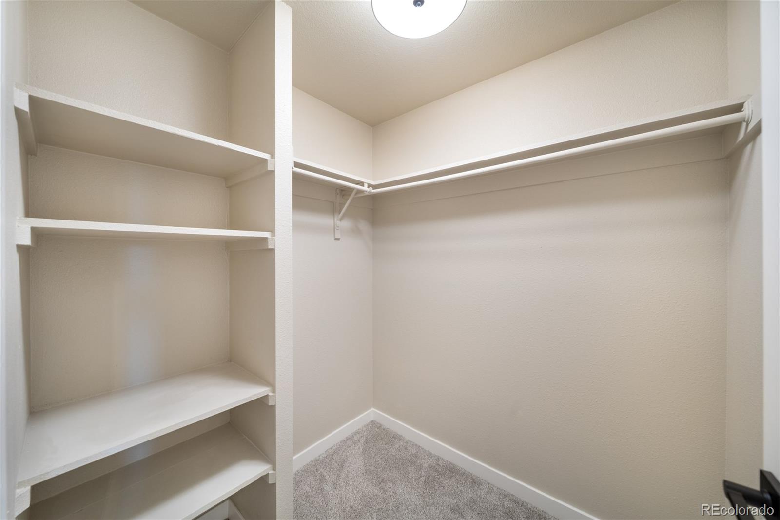 MLS Image #17 for 11650  lincoln street ,northglenn, Colorado