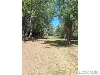 MLS Image #29 for 3404  orchard drive,laporte, Colorado